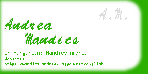 andrea mandics business card